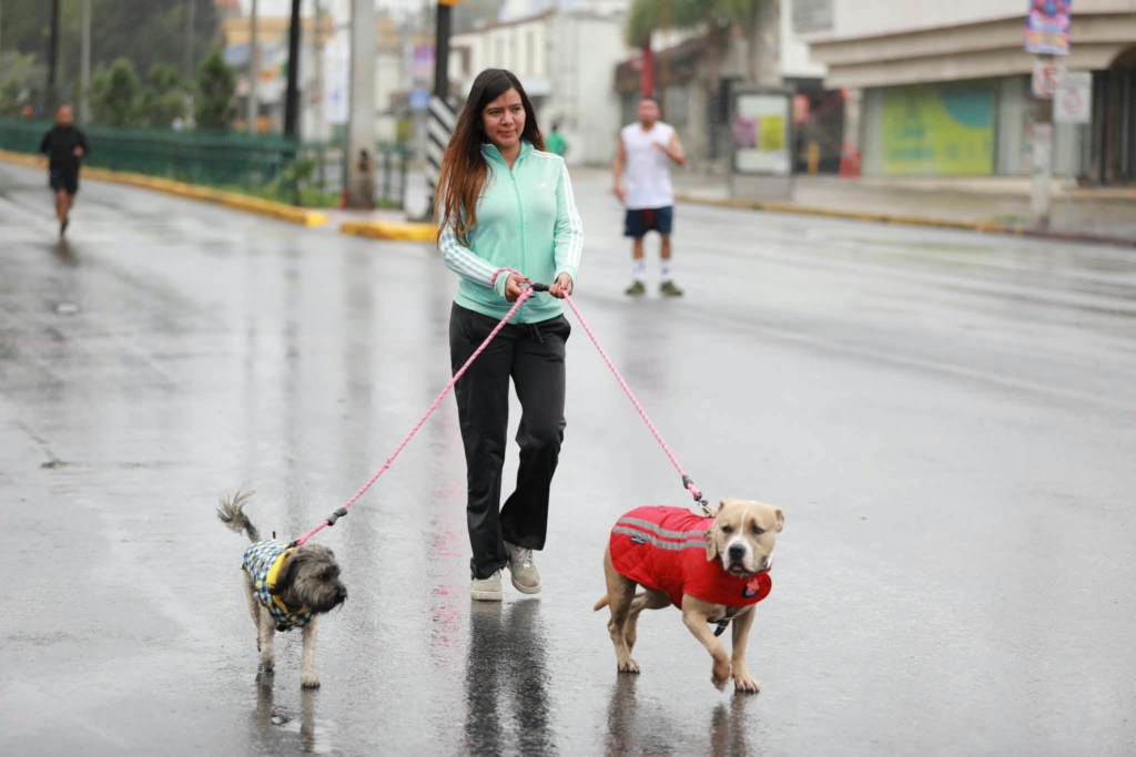 Se activan familias saltillenses en la Ruta Recreativa