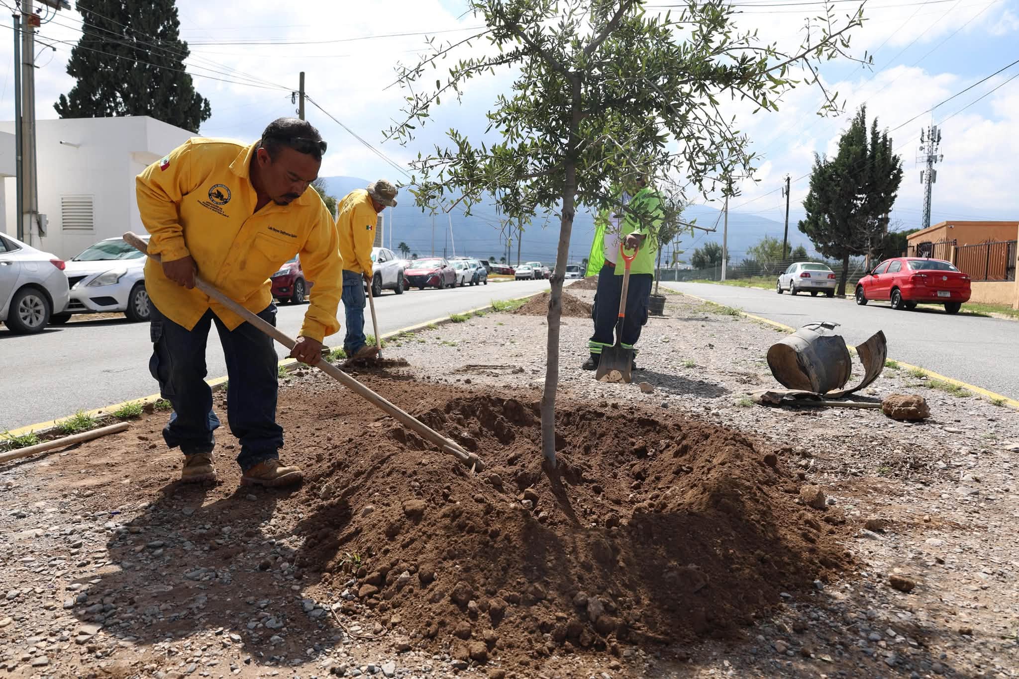 Fortalece Javier Díaz acciones de reforestación en vialidades de Saltillo