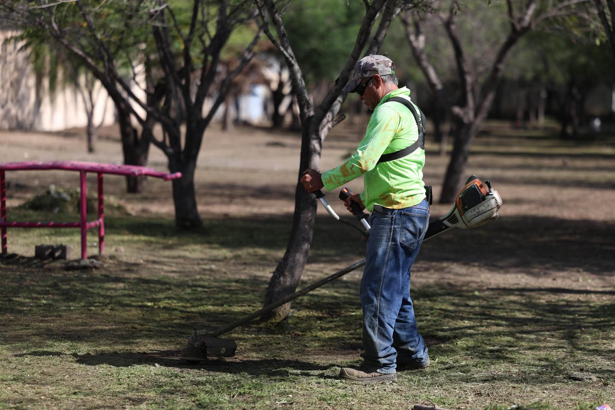 Fortalece Javier Díaz acciones de reforestación en vialidades de Saltillo