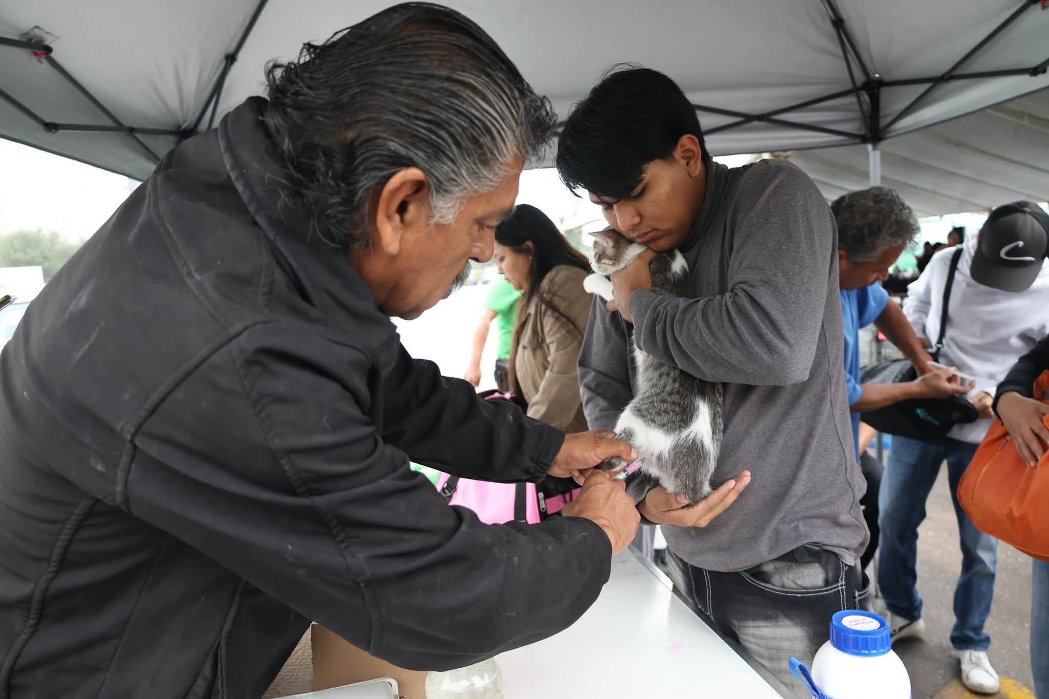 Realizan con éxito la Feria del Bienestar Animal en Parque Centro
