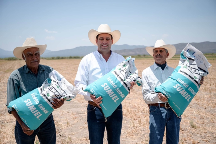 Entregan Municipio y Estado más de 80 toneladas de semilla forrajera
