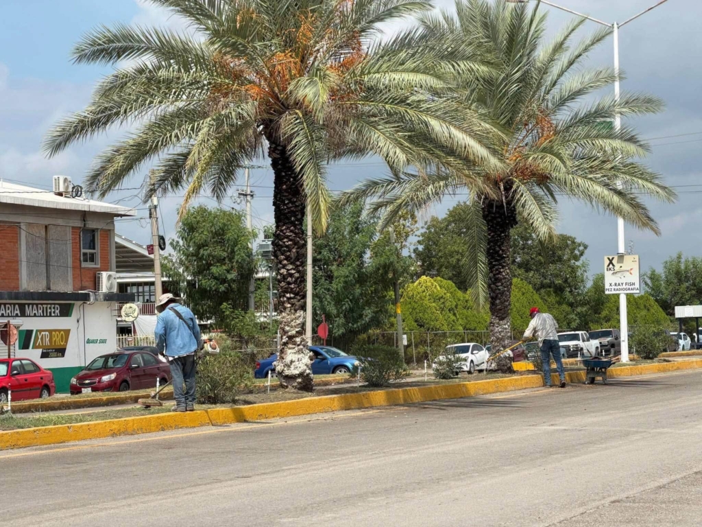 Gobierno municipal refuerza limpieza y prevención en Nava